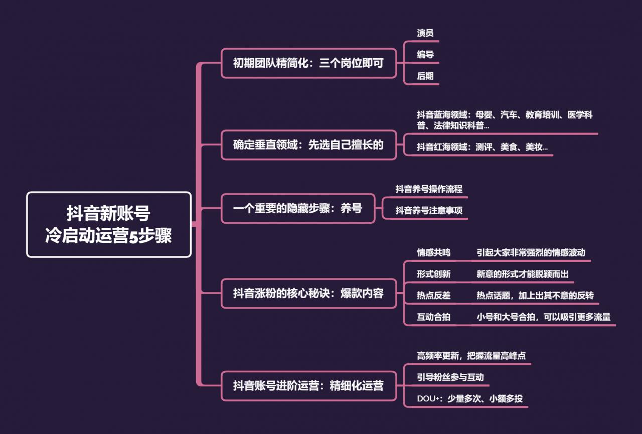 企业如何运营抖音？只用这5招！